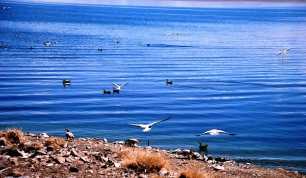 ֮(1)