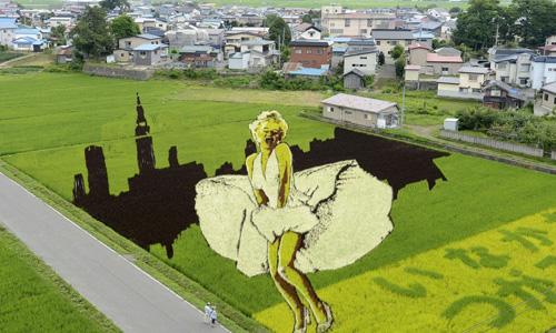 ɭݴ